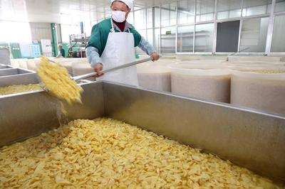 江蘇如皋 小蘿卜深加工促增收，食品生產(chǎn)助力鄉(xiāng)村振興