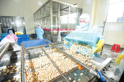 岳陽日報 食品生產安全，守護市民餐桌健康