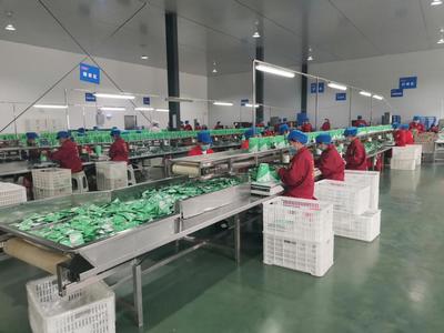 長沙 將食品安全視為企業(yè)的生命線，筑牢食品生產(chǎn)根基
