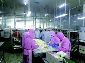嚴懲違禁食品生產 某公司被重罰14萬元的警示