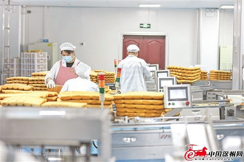 鑫億迪食品加工項目 以產業融合帶動蔬菜規模化種植與食品生產升級