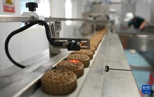 山東新泰 食品生產企業月餅制作生產忙 食品生產穩中提質